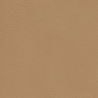 FABRIC Leather Due : Due / Latte